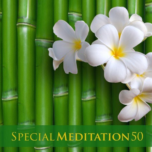 Special Meditation 50 - Spa Songs for Breathing Meditation and Guided Mindfulness Meditation Imagery for an Unforgettable Paradise