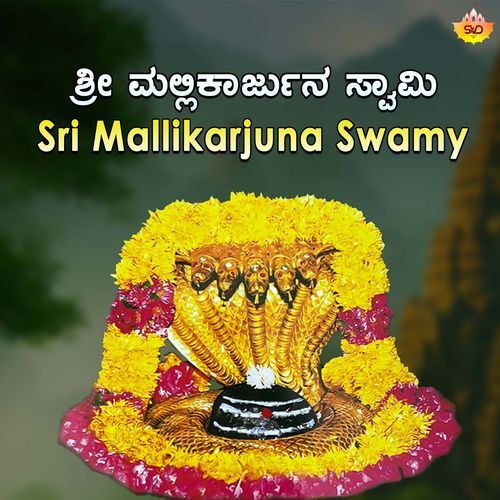 Sri Mallikarjuna Swamy