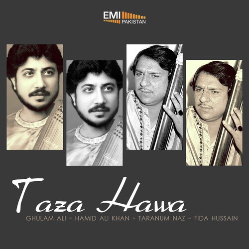 Taza Hawa