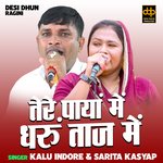 Tere payan me dharun taj me (Hindi)