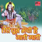 Teri Dhun Machi Hai Gali Gali