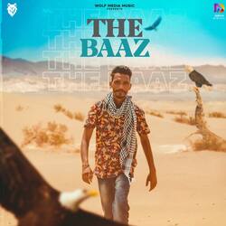 The Baaz-Cj0-dhtCAgo