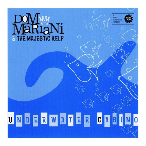 Indian N' Ocean cover art