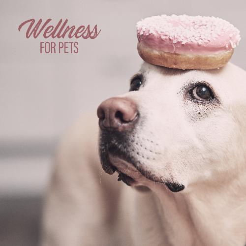 Dog Therapy cover art