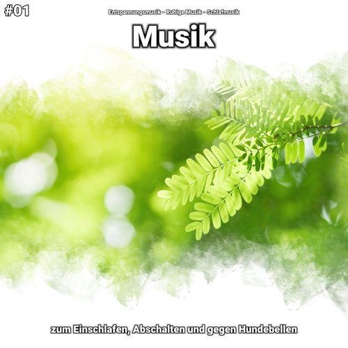 Entspannungsmusik, Pt. 10