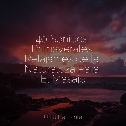 40 Sonidos Primaverales Relajantes de la Naturaleza Para El Masaje