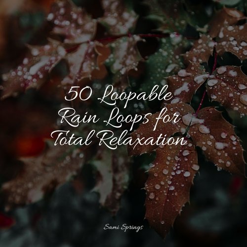 Rain, Storm and Thunder cover art