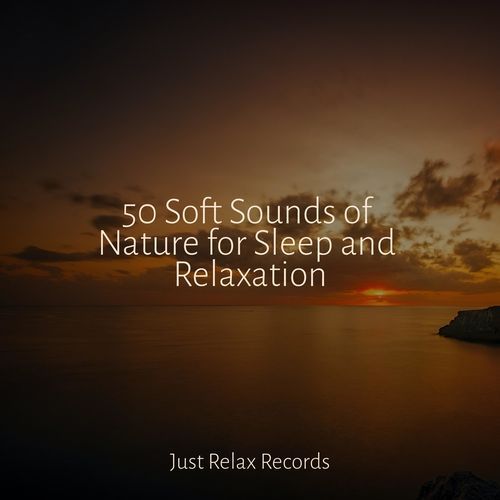 50 Soft Sounds of Nature for Sleep and Relaxation_poster_image