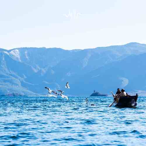 小鸟自由的飞翔-古筝 (减压放松) cover art