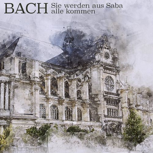 Bach: Sie Werden Aus Saba Alle Kommen
