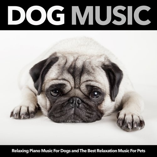 Music For Your Dog