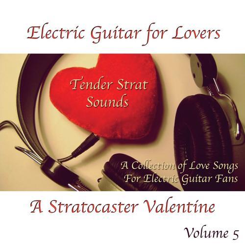 Electric Guitar For Lovers Volume 5_poster_image