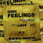 Feelings Remix