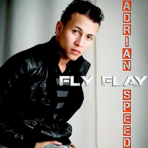 Fly Flay_poster_image