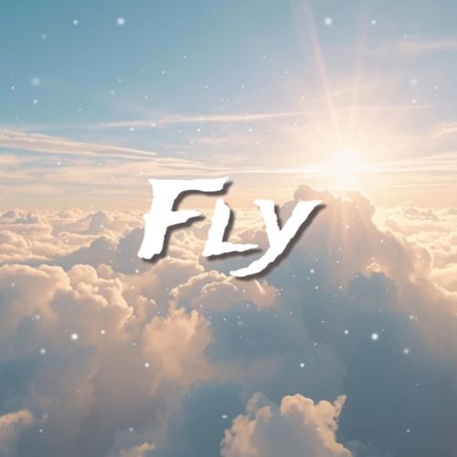 Fly