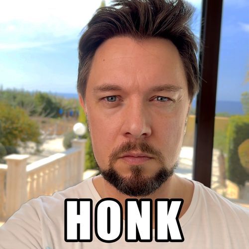 HONK cover art
