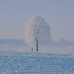 I Will Go to You Like the First Snow - Piano Version