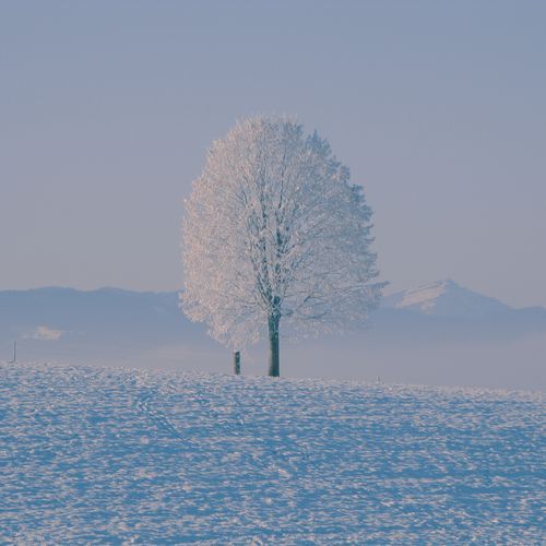 I Will Go to You Like the First Snow - Piano Version