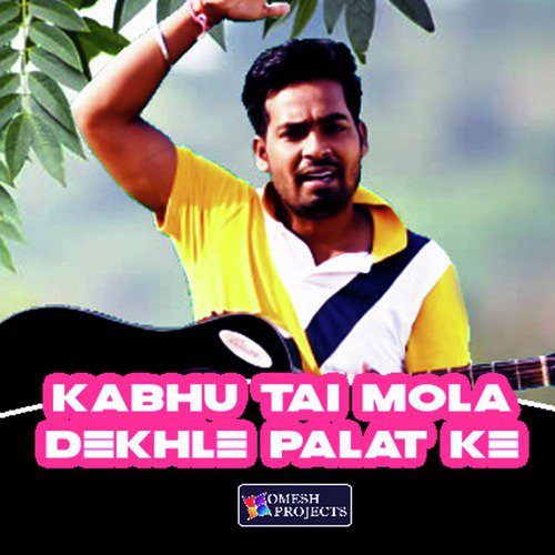 Kabhu Tai Mola Dekhle Palat Ke_poster_image