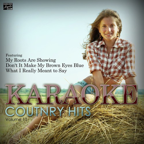 Redneck Yacht Club (In the Style of Craig Morgan) [Karaoke Version] cover art