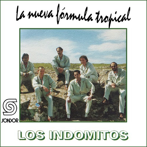 Tuvo la Culpa el Amor cover art