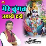 Mere Chungat Udaye Daye