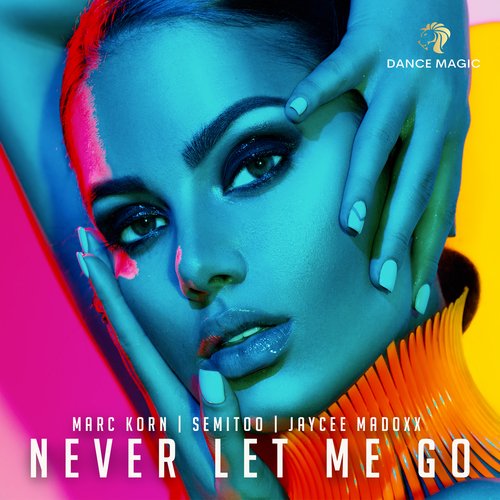 Never Let Me Go (Extended Mix)