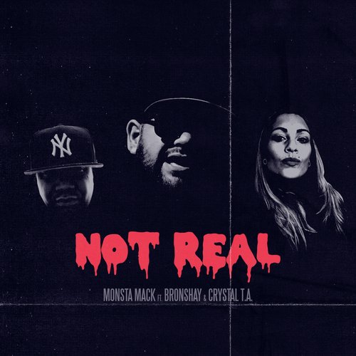 Not Real (feat. Bronshay & Crystal T.A.)_poster_image