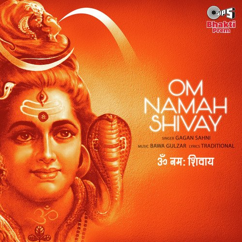 Om Namah Shivay