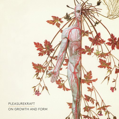 On Growth and Form