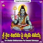 Maa Varala Swami Sri Shaila Mallanna