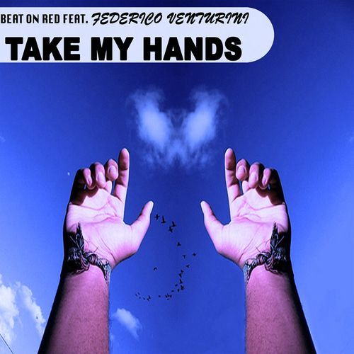 Take My Hands (feat. Federico Venturini) (Salvo DJ Mix) cover art