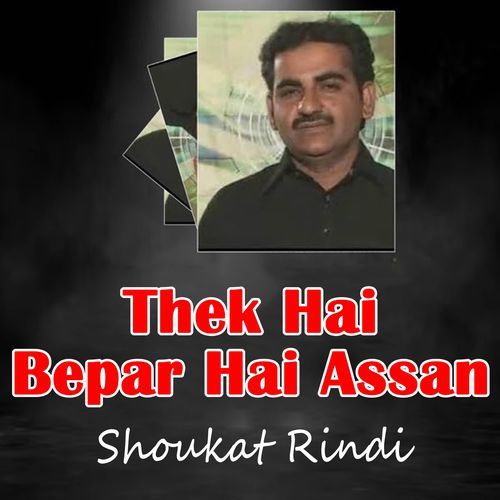 Thek Hai Bepar Hai Assan