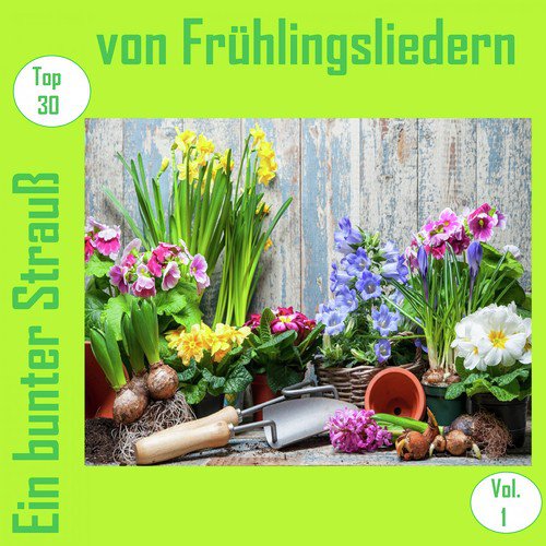 Top 30: Ein bunter Strauß von Frühlingsliedern, Vol. 1