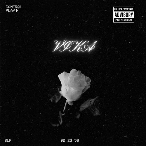 VIKA cover art