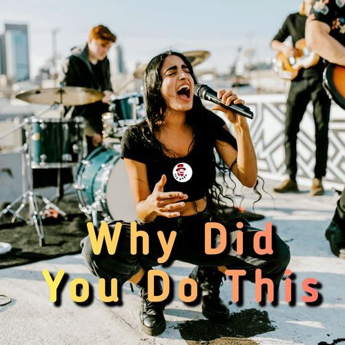 Why Did You Do This ?