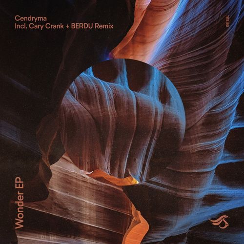 Wonder (Cary Crank Remix) cover art