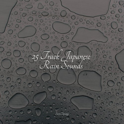 Rain, Storm and Thunder cover art