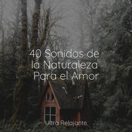 Sonidos Relajantes cover art
