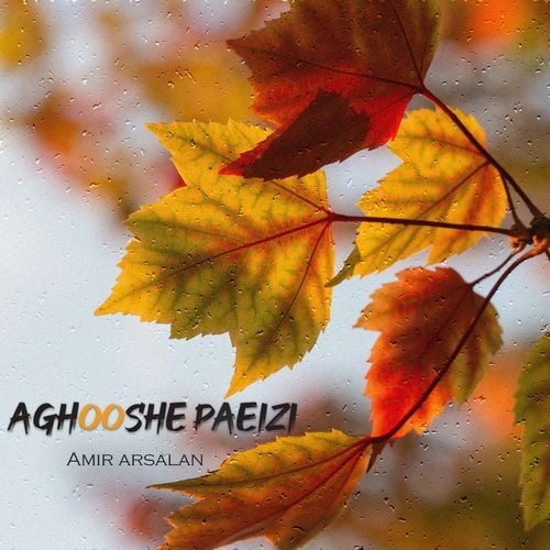 Aghooshe paeizi (instrumental)