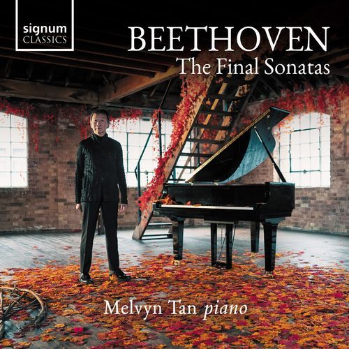 Beethoven: The Final Sonatas_poster_image