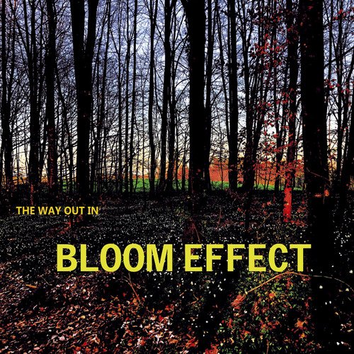 Bloom Effect_poster_image