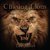 Chasing Lions (feat. Andy Baeza, Bryan Mrazek & Mark Wilkinson)