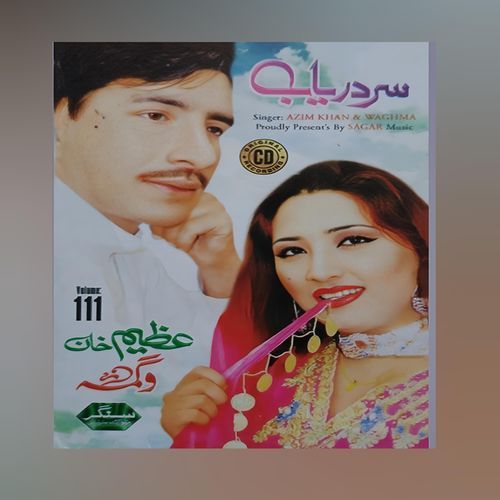 Dayaram meena har waqt cover art