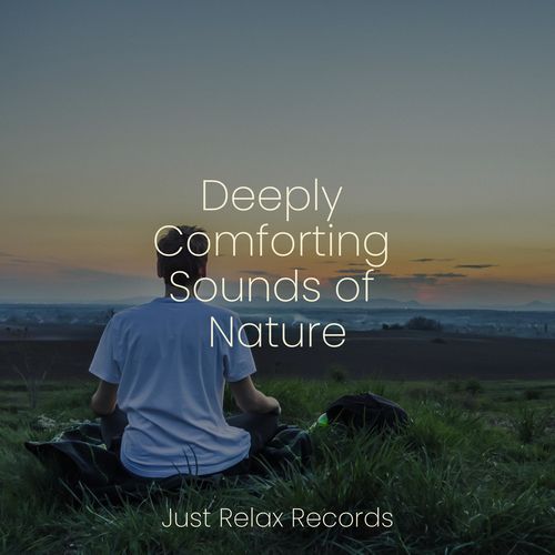 Deeply Comforting Sounds of Nature