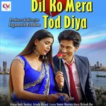 Dil Ko Mera Tod Diya (Hindi)