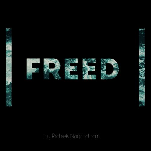 Freed (Instrumental Version)_poster_image