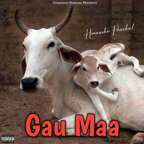 Gau maa