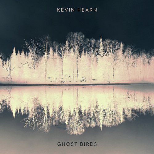 Ghost Birds_poster_image