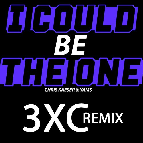 I Could Be the One (3XC Remix)